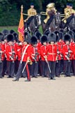 Trooping the Colour 2010: The Ensign to the Colour, 2nd Lieutenant James Brown, 1st Battalion Grenadier Guards, has just received the regimental flag. The real &quot;trooping&quot; of the Colour is about to begin..
Horse Guards Parade, Westminster,
London SW1,
Greater London,
United Kingdom,
on 12 June 2010 at 11:26, image #129