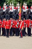 Trooping the Colour 2010: The Ensign to the Colour, 2nd Lieutenant James Brown, 1st Battalion Grenadier Guards, has just received the regimental flag. The real &quot;trooping&quot; of the Colour is about to begin..
Horse Guards Parade, Westminster,
London SW1,
Greater London,
United Kingdom,
on 12 June 2010 at 11:26, image #130