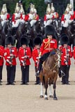 Trooping the Colour 2010: Lt Col C R V Walker, Grenadier Guards, Field Officer in Brigade Waiting and in command of the parade..
Horse Guards Parade, Westminster,
London SW1,
Greater London,
United Kingdom,
on 12 June 2010 at 11:29, image #132