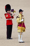 Trooping the Colour 2010: Drum Major Ben Roberts and a Colour Sergeant of the Band of the Coldstream Guards..
Horse Guards Parade, Westminster,
London SW1,
Greater London,
United Kingdom,
on 12 June 2010 at 11:42, image #152