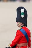 Trooping the Colour 2010: His Royal Highness (HRH) Charles, Prince of Wales, 
the eldest child of Queen Elizabeth II and Prince Philip, Duke of Edinburgh, heir apparent to the throne.

As Colonel of the Welsh Guards, the Prince of Wales is taking part in &quot;Trooping the Colour&quot; 2010. As a Royal Colonel, his place at the parade is close to Her Majesty within the Royal Procession.

In this photo, he is observing the parade on horseback, positioned, by protocol, left to the dais of the Queen..
Horse Guards Parade, Westminster,
London SW1,
Greater London,
United Kingdom,
on 12 June 2010 at 11:44, image #153