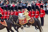 Trooping the Colour 2010: HJoergens41_100612_G6C7543.CR2.
Horse Guards Parade, Westminster,
London SW1,
Greater London,
United Kingdom,
on 12 June 2010 at 11:53, image #163