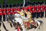 Trooping the Colour 2010: HJoergens41_100612_G6C7547.CR2.
Horse Guards Parade, Westminster,
London SW1,
Greater London,
United Kingdom,
on 12 June 2010 at 11:54, image #164