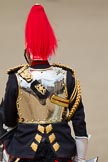 Trooping the Colour 2010: Colonel T W Browne, The Blues and Royals, Silver Stick in Waiting, at the end of parade, marching off.

Horse Guards Parade is beautifully reflected in the rear shield of his uniform (please correct me if 'rear shield' is the wrong phrase!)..
Horse Guards Parade, Westminster,
London SW1,
Greater London,
United Kingdom,
on 12 June 2010 at 12:12, image #193