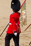 The Colonel's Review 2011: A 'Keeper of the Ground' from the Welsh Guards, with a flag from the 1st Battalion Welsh Guards. It reads 'GWYR YNYS Y CEDYRN' ( the men of the island of the mighty)..
Horse Guards Parade, Westminster,
London SW1,

United Kingdom,
on 04 June 2011 at 12:11, image #304