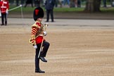 The Major General's Review 2011: Close-up of Drum Major Tony Taylor, No. 7 Company Coldstream Guards..
Horse Guards Parade, Westminster,
London SW1,
Greater London,
United Kingdom,
on 28 May 2011 at 10:19, image #28