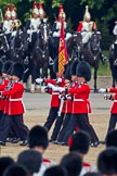 Trooping the Colour 2011: The Escort to the Colour. Carrying the flag in his white colour belt the ensign, Lieutenant Tom Ogilvy, and to his left, The Sergeant of the Ecort to the Colour, Colour Sergeant Chris Millin..
Horse Guards Parade, Westminster,
London SW1,
Greater London,
United Kingdom,
on 11 June 2011 at 11:43, image #267