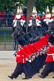 Trooping the Colour 2011: No. 1 Guard, the Escort to the Colour, during the March Past. In the background, The Life Guards from the Household Cavalry..
Horse Guards Parade, Westminster,
London SW1,
Greater London,
United Kingdom,
on 11 June 2011 at 11:43, image #275