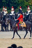 Trooping the Colour 2011: The Adjutant of the Parade, Captain Hamish Barne, 1st Battalion Scots Guards, Adjutant of the 1st Battalion Scots Guards, during the March Past..
Horse Guards Parade, Westminster,
London SW1,
Greater London,
United Kingdom,
on 11 June 2011 at 11:44, image #286