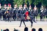 Trooping the Colour 2011: The Major of the Parade, Major B P N Ramsay, Welsh Guards, in front of the Household Cavalry, here The Blues and Royals, and a Farrier on the very right..
Horse Guards Parade, Westminster,
London SW1,
Greater London,
United Kingdom,
on 11 June 2011 at 11:49, image #299