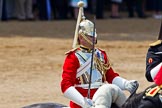 Trooping the Colour 2011: A trooper of The Life Guards, Household Cavalry, during the Ride Past..
Horse Guards Parade, Westminster,
London SW1,
Greater London,
United Kingdom,
on 11 June 2011 at 11:56, image #347