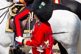 Trooping the Colour 2011: Garrison Sergeant Major W D G Mott, Welsh Guards, talking to one of the members of the Royal Procession..
Horse Guards Parade, Westminster,
London SW1,
Greater London,
United Kingdom,
on 11 June 2011 at 11:56, image #348