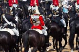 Trooping the Colour 2011: The Household Calavry marching off. On the left one of the Farriers (with the black plume and the axe), to his right, with the white plume, a trooper from The Life Guards, in front of them, with the red plumes, troopers of The Blues and Royals..
Horse Guards Parade, Westminster,
London SW1,
Greater London,
United Kingdom,
on 11 June 2011 at 11:57, image #353