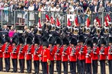 Trooping the Colour 2011: Household Cavalry, here the Blues and Royals, during the Ride Past. Here, they are passing No. 6 Guard, No. 7 Company Coldstream Guards..
Horse Guards Parade, Westminster,
London SW1,
Greater London,
United Kingdom,
on 11 June 2011 at 11:57, image #357