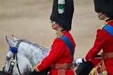 Trooping the Colour 2011: HRH Prince Charles, The Prince of Wales, and to his right his son, HRH Prince William, The Duke of Cambridge..
Horse Guards Parade, Westminster,
London SW1,
Greater London,
United Kingdom,
on 11 June 2011 at 12:06, image #392