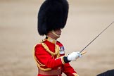 Trooping the Colour 2011: Close-up of The Field Officer, Lieutenant Colonel Lincoln P M Jopp..
Horse Guards Parade, Westminster,
London SW1,
Greater London,
United Kingdom,
on 11 June 2011 at 12:07, image #395