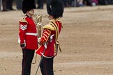 The Colonel's Review 2012: The first of the Massed Bands arriving at Horse Guards Parade - the Band of the Welsh Guards, led by Seniour Drum Major M Betts, Grenadier Guards..
Horse Guards Parade, Westminster,
London SW1,

United Kingdom,
on 09 June 2012 at 10:12, image #22