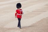 Trooping the Colour 2012: Garrison Sergeant Major, London District, Warrant Officer Class 1 W D G Mott, Welsh Guards..
Horse Guards Parade, Westminster,
London SW1,

United Kingdom,
on 16 June 2012 at 10:32, image #76