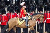 Trooping the Colour 2012: The Master of the Horse, The Lord Vestey, during the Inspection of the Line..
Horse Guards Parade, Westminster,
London SW1,

United Kingdom,
on 16 June 2012 at 11:04, image #219