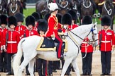 Trooping the Colour 2012: During the Inspection of the Line -Major General Commanding the Household Division
and General Officer Commanding London District Major General G P R Norton..
Horse Guards Parade, Westminster,
London SW1,

United Kingdom,
on 16 June 2012 at 11:04, image #222