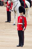 Trooping the Colour 2012: The Sentry, Guardsman Dunbar, on the Northern side of the Colour Sergeant Paul Baines..
Horse Guards Parade, Westminster,
London SW1,

United Kingdom,
on 16 June 2012 at 11:19, image #299