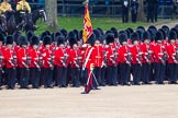 Trooping the Colour 2012: The Ensign, Second Lieutenant Hugo C Codrington, is trooping the Colour along No. 5 Guard, 1st Battalion Irish Guards, whilst the Escort to the Colour, No. 1 Guard, is marching between the two lines of guardsmen..
Horse Guards Parade, Westminster,
London SW1,

United Kingdom,
on 16 June 2012 at 11:26, image #346