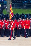 Trooping the Colour 2012: The Ensign, Second Lieutenant Hugo C Codrington, is trooping the Colour along No. 5 Guard, 1st Battalion Irish Guards, whilst the Escort to the Colour, No. 1 Guard, is marching between the two lines of guardsmen.8.
Horse Guards Parade, Westminster,
London SW1,

United Kingdom,
on 16 June 2012 at 11:26, image #347