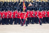 Trooping the Colour 2012: The Ensign, Second Lieutenant Hugo C Codrington, is trooping the Colour along No. 5 Guard, 1st Battalion Irish Guards, towards No. 4 Guard, Nijmegen Company Grenadier Guards..
Horse Guards Parade, Westminster,
London SW1,

United Kingdom,
on 16 June 2012 at 11:26, image #349