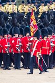 Trooping the Colour 2012: The Ensign, Second Lieutenant Hugo C Codrington, is trooping the Colour along No. 4 Guard, Nijmegen Company Grenadier Guards, whilst the Escort to the Colour, No. 1 Guard, is marching between the two lines of guardsmen..
Horse Guards Parade, Westminster,
London SW1,

United Kingdom,
on 16 June 2012 at 11:26, image #350