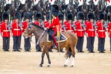 Trooping the Colour 2012: The Field Officer in Brigade Waiting, Lieutenant Colonel R C N Sergeant, Coldstream Guards, riding Burniston..
Horse Guards Parade, Westminster,
London SW1,

United Kingdom,
on 16 June 2012 at 11:29, image #363