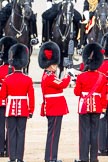 Trooping the Colour 2012: The guardsmen turning around in the process of forming divisions for the next phase of the parade..
Horse Guards Parade, Westminster,
London SW1,

United Kingdom,
on 16 June 2012 at 11:30, image #365