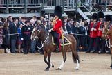 Trooping the Colour 2012: The Field Officer in Brigade Waiting, Lieutenant Colonel R C N Sergeant, Coldstream Guards, leading the March Past..
Horse Guards Parade, Westminster,
London SW1,

United Kingdom,
on 16 June 2012 at 11:34, image #390