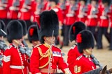 Trooping the Colour 2012: The Field Officer in Brigade Waiting, Lieutenant Colonel R C N Sergeant, Coldstream Guards, during the March Past..
Horse Guards Parade, Westminster,
London SW1,

United Kingdom,
on 16 June 2012 at 11:34, image #397