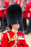 Trooping the Colour 2012: Close-up of the Field Officer in Brigade Waiting, Lieutenant Colonel R C N Sergeant, Coldstream Guards..
Horse Guards Parade, Westminster,
London SW1,

United Kingdom,
on 16 June 2012 at 11:34, image #398