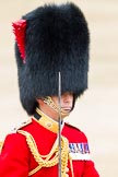 Trooping the Colour 2012: Close-up of the Field Officer in Brigade Waiting, Lieutenant Colonel R C N Sergeant, Coldstream Guards..
Horse Guards Parade, Westminster,
London SW1,

United Kingdom,
on 16 June 2012 at 11:35, image #401