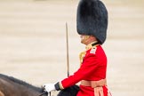 Trooping the Colour 2012: The Field Officer in Brigade Waiting, Lieutenant Colonel R C N Sergeant, Coldstream Guards..
Horse Guards Parade, Westminster,
London SW1,

United Kingdom,
on 16 June 2012 at 11:39, image #452