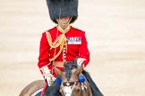 Trooping the Colour 2012: The Field Officer in Brigade Waiting, Lieutenant Colonel R C N Sergeant, Coldstream Guards..
Horse Guards Parade, Westminster,
London SW1,

United Kingdom,
on 16 June 2012 at 11:40, image #459