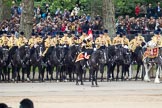 Trooping the Colour 2012: The Mounted Bands of the Household Cavalry during the March Past. In the centre, saluting the Colour, Captain J Griffiths, The Blues and Royals..
Horse Guards Parade, Westminster,
London SW1,

United Kingdom,
on 16 June 2012 at 11:41, image #461