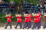 The Colonel's Review 2013: Musicians of the Band of the Irish Guards..
Horse Guards Parade, Westminster,
London SW1,

United Kingdom,
on 08 June 2013 at 10:15, image #59