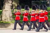 The Colonel's Review 2013: Musicians of the Band of the Irish Guards..
Horse Guards Parade, Westminster,
London SW1,

United Kingdom,
on 08 June 2013 at 10:16, image #60