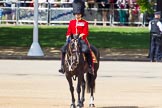 The Colonel's Review 2013: The Major of the Parade, Major H G C Bettinson, Welsh Guards..
Horse Guards Parade, Westminster,
London SW1,

United Kingdom,
on 08 June 2013 at 10:42, image #199