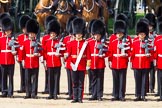 The Colonel's Review 2013: No. 1 Guard (Escort for the Colour),1st Battalion Welsh Guards, with the Ensign,Second Lieutenant Joel Dinwiddle in the centre, the King's Troop Royal Horse Artillery behind..
Horse Guards Parade, Westminster,
London SW1,

United Kingdom,
on 08 June 2013 at 10:42, image #201