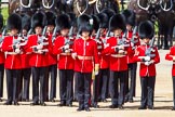 The Colonel's Review 2013: No. 2 Guard, 1 st Battalion Welsh Guards with Captain B Bardsley..
Horse Guards Parade, Westminster,
London SW1,

United Kingdom,
on 08 June 2013 at 10:42, image #203