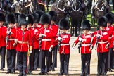 The Colonel's Review 2013: No. 2 Guard, 1 st Battalion Welsh Guards with Captain B Bardsley..
Horse Guards Parade, Westminster,
London SW1,

United Kingdom,
on 08 June 2013 at 10:42, image #204