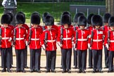 The Colonel's Review 2013: No. 2 Guard, 1 st Battalion Welsh Guards are mounting their bayonets..
Horse Guards Parade, Westminster,
London SW1,

United Kingdom,
on 08 June 2013 at 10:43, image #205