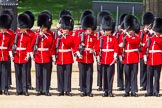 The Colonel's Review 2013: No. 2 Guard, 1 st Battalion Welsh Guards are mounting their bayonets..
Horse Guards Parade, Westminster,
London SW1,

United Kingdom,
on 08 June 2013 at 10:43, image #206