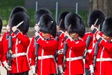 The Colonel's Review 2013: No. 2 Guard, 1 st Battalion Welsh Guards are mounting their bayonets..
Horse Guards Parade, Westminster,
London SW1,

United Kingdom,
on 08 June 2013 at 10:43, image #207