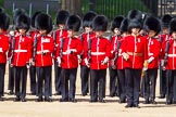 The Colonel's Review 2013: No. 2 Guard, 1 st Battalion Welsh Guards..
Horse Guards Parade, Westminster,
London SW1,

United Kingdom,
on 08 June 2013 at 10:43, image #208