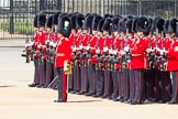 The Colonel's Review 2013: No. 3 Guard, 1st Battalion Welsh Guards, at the gap in the line for members of the Royal Family..
Horse Guards Parade, Westminster,
London SW1,

United Kingdom,
on 08 June 2013 at 10:51, image #231