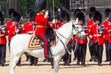 The Colonel's Review 2013: The Field Officer in Brigade Waiting, Lieutenant Colonel Dino Bossi, Welsh Guards..
Horse Guards Parade, Westminster,
London SW1,

United Kingdom,
on 08 June 2013 at 10:52, image #232